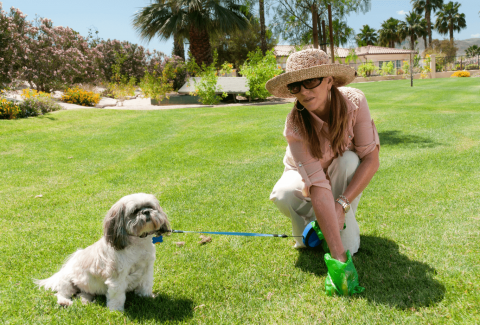 Köpeklerin Yaşı Nasıl Hesaplanır