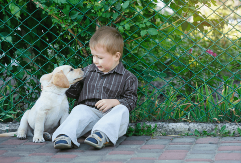 En Güzel ve Popüler Dişi Köpek İsimleri