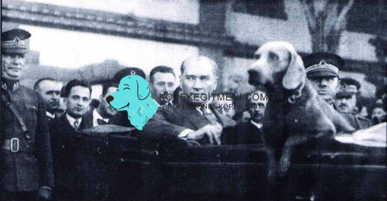 Mustafa Kemal Atatürkün Köpeği Foks