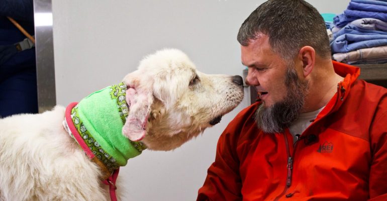 Köpek Nasıl Sevilir